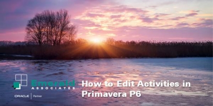 How to Edit Activities in Primavera P6